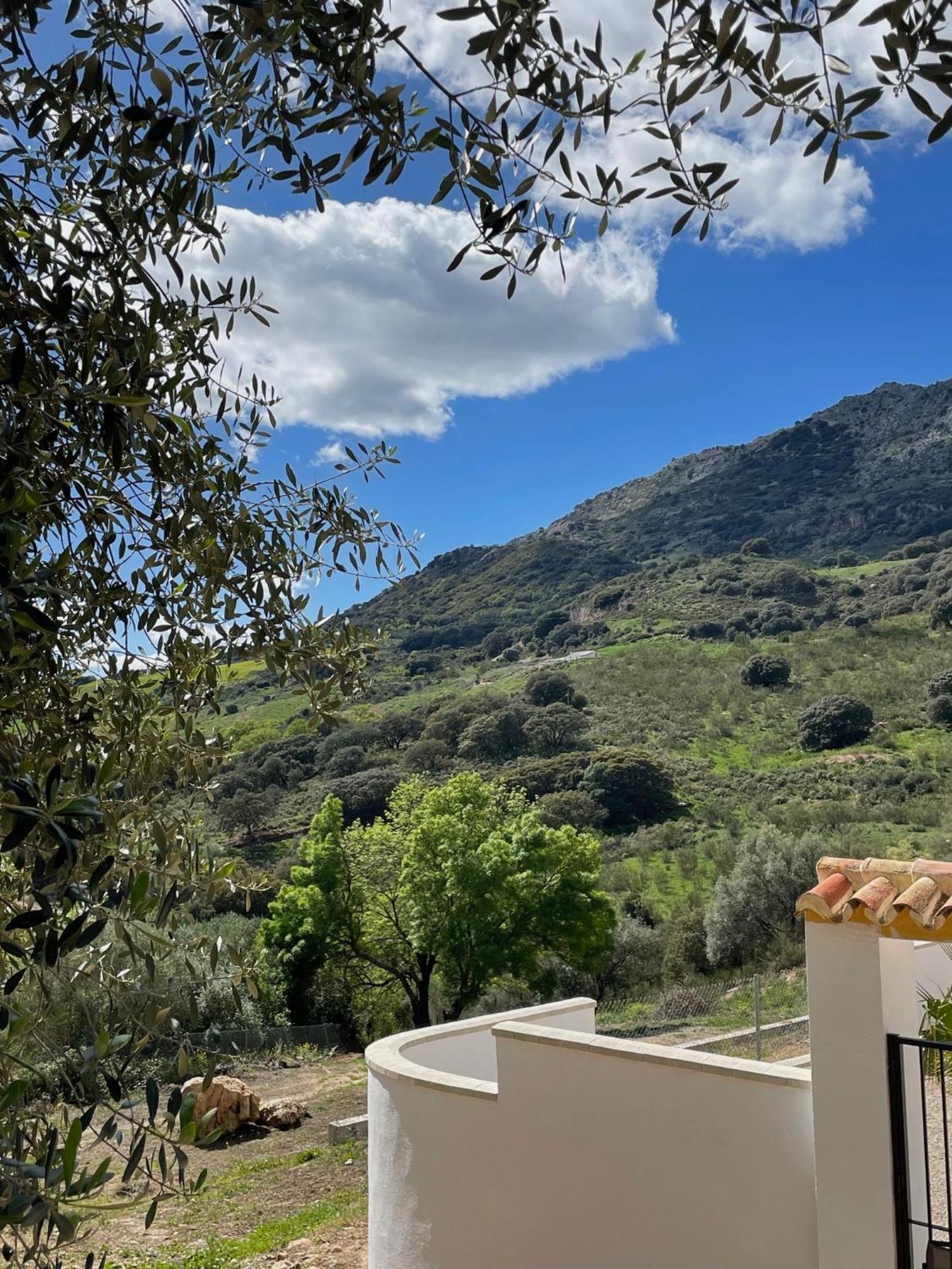 Cortijo Rancho Verde Colmenar Exterior foto